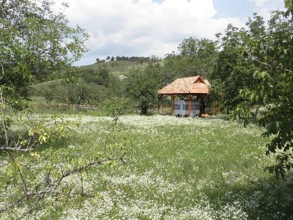 Vakantiehuis Heves Tarnalelesz | Actieve vakantie ...