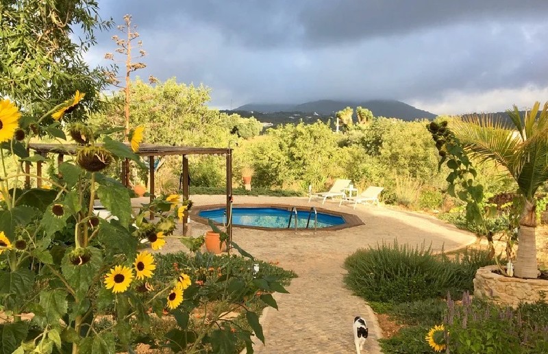 Vakantiehuis Algarve Moncarapacho Bed and Breakfast Portugal