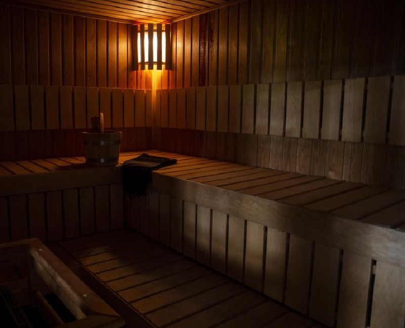 Vakantiehuis Utrecht Rhenen Zwembad,sauna,buitenkeuken Rhenen huren