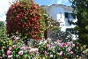 huisjetehuur Droom villa huren Algarve Algarve Quelfes Olhao
