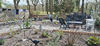 huisjetehuur Hunebedlodge - 133 Drente Eext