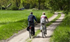 huisjetehuur Vrijstaand - bosrijk - Gelderland Neede