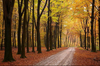 Nederland Gelderland Neede
