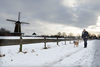 Nederland Gelderland Neede
