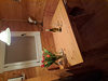 vakantiehuis Guesthouse the wooden lodge Nederland Goedereede/Ouddorp