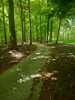 vakantiehuis Huize Boschlust Veluwe Hulshorst