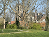 vakantiehuis Tiny House Tholen Zeeland Tholen