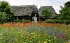Vakantiehuis Rust, ruimte en grote tuin Nederland Drenthe Vledder