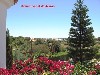 vakantiehuis Droom villa huren Algarve Portugal Quelfes Olhao