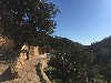 vakantiehuis Luxe Quinta met zwembad Portugal Marmelete