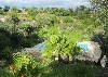 huisjetehuur Ons huis voor uw vakantie ! Algarve Carvoeiro