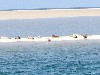 Nederland Ameland-Waddeneiland Hollum