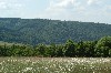 vakantiehuis La Boverie Chalet Ardennen - Luxemburg Jupille - Rendeux