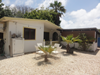 vakantiehuis Aruba Cas Kenepa Aruba Aruba Noord Noord