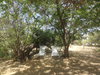 vakantiehuis Noord Aruba Aruba Noord