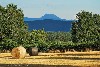 vakantiehuis Landhuisje Chez L'Arbre Auvergne/Puy-de-Dôme pionsat