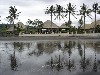 vakantiehuis Leven als een God op Bali Indonesie Lovina/Dencarik