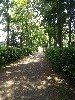 huisjetehuur Nederland Brabant Oosterhout