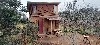 vakantiehuis The Book Cabin Portugal Coimbra Pinheiro de Coja