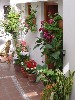 vakantiehuis Andalusische Patiowoning Spanje Tarifa (Cádiz)