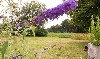 vakantiehuis De oude boerderij Nederland Bronnegerveen