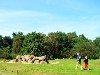 Nederland Drenthe Havelte