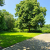 Nederland Drenthe Diever