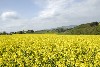 Duitsland Rijnland-palts Pantenburg