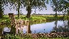 huisjetehuur Pipowagen Friesland Offingawier-Sneek