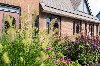 huisjetehuur Villa Rijs Friesland Rijs