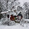 vakantiehuis knus huisje De Vrolijke Haan Nederland Gelderland Winterswijk Corle