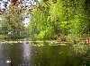 vakantiehuis Vakantiechalet op de Veluwe Gelderland Uddel