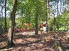 huisjetehuur Vakantiechalet op de Veluwe Gelderland Uddel