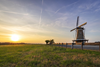 Nederland Gelderland Neede