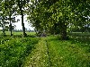 huisjetehuur Op het Graveland Groningen Zevenhuizen