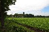 huisjetehuur Sfeervol nieuw houten huisje Havelte, Drenthe Havelte