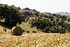 vakantiehuis Pergola Le Marche Italie