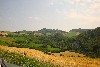 Italie le Marche Urbino