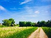 huisjetehuur Boshuisje, Beesel Limburg Beesel