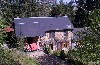 huisjetehuur Privacy | Natuur | zwemmeer Limousin Limoges Sussac