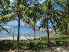 vakantiehuis Boulevard MP Appt 2 aan zee Curacao Curacao