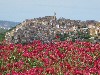 huisjetehuur La Farfalla di Molise Molise/Abruzzo Montenero di Bisaccia