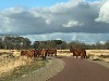 huisjetehuur Nederland drenthe hoogersmilde