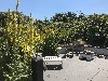 vakantiehuis duinhuis Pamir Nederland Ouddorp