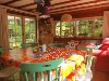 vakantiehuis Nederland Diessen