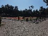 vakantiehuis de papegaai nederland Baarle-Nassau