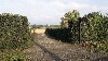 vakantiehuis leker lake noord brabant venhorst