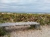 vakantiehuis Petten Noord-Holland Nederland