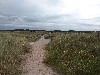 vakantiehuis Petten Nederland Noord-Holland