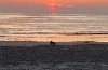 huisjetehuur Zomerhuis aan Zee Noord Holland Camperduin